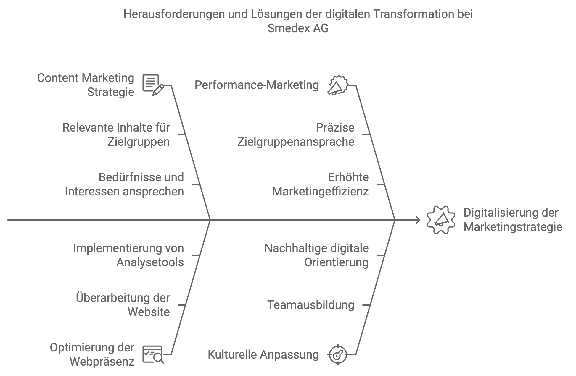 Darstellung der Herausforderungen und Lösungen bei der digitalen Transformation der Marketingstrategie von Smedex – inkl. Content-Strategie, Performance-Marketing und Teamentwicklung